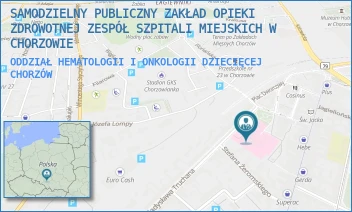 ODDZIAŁ HEMATOLOGII I ONKOLOGII DZIECIĘCEJ - SAMODZIELNY PUBLICZNY ZAKŁAD OPIEKI ZDROWOTNEJ ZESPÓŁ SZPITALI MIEJSKICH W CHORZOWIE - UL. WŁADYSŁAWA TRUCHANA 7,  CHORZÓW